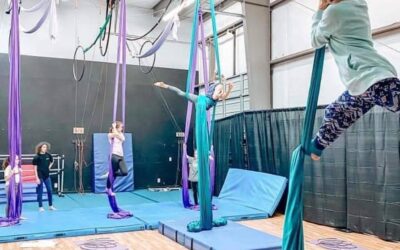 Sizing Up Aerial Silks Classes